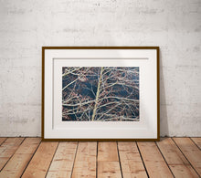 Charger l&#39;image dans la galerie, BASIC SIGNATURE #169
