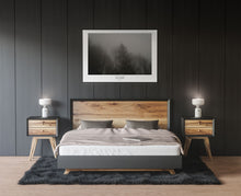 Charger l&#39;image dans la galerie, BASIC NATURE - TREES AND SHADOWS
